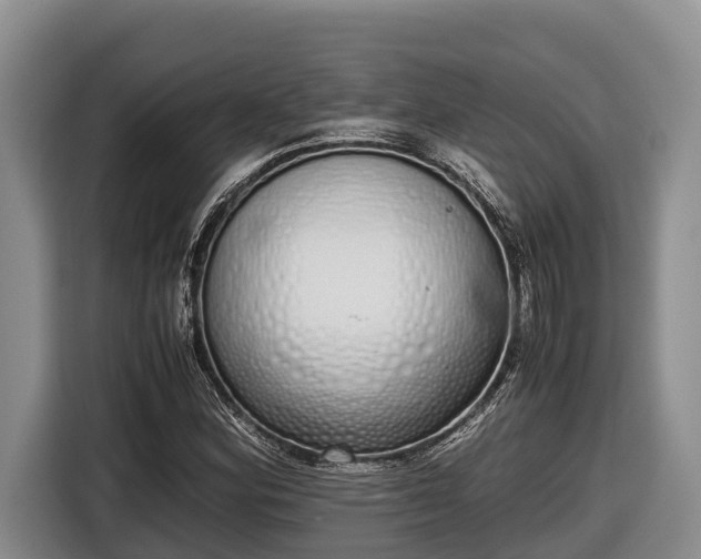 X0000116821164200912241235