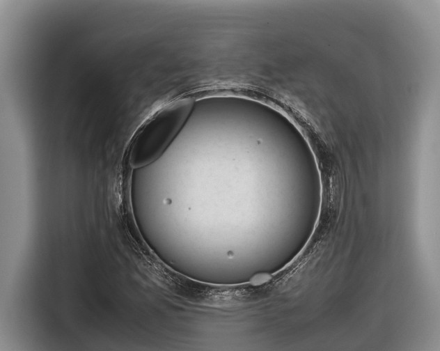 X0000116821165200912241235