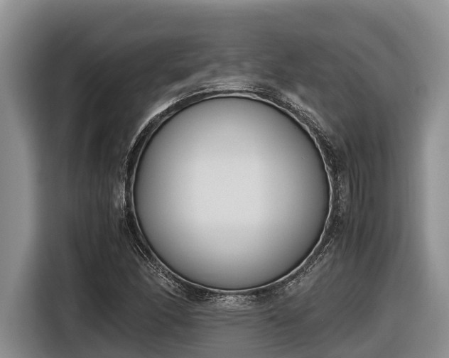 X0000116821166200912241235