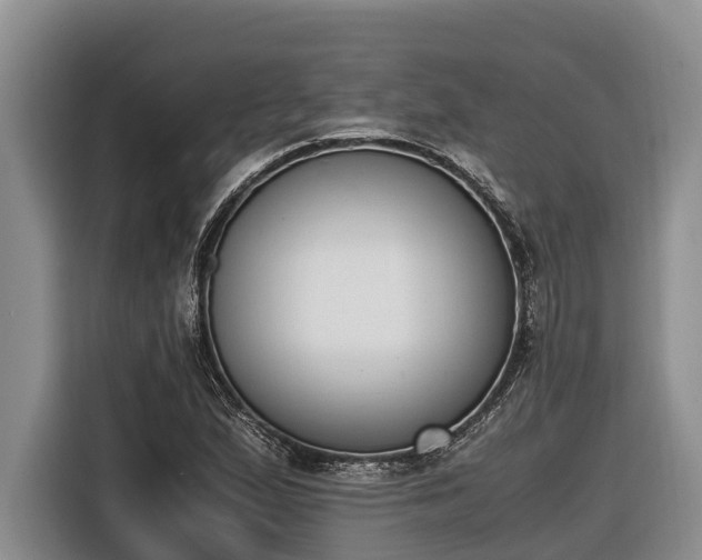 X0000116821167200912241235