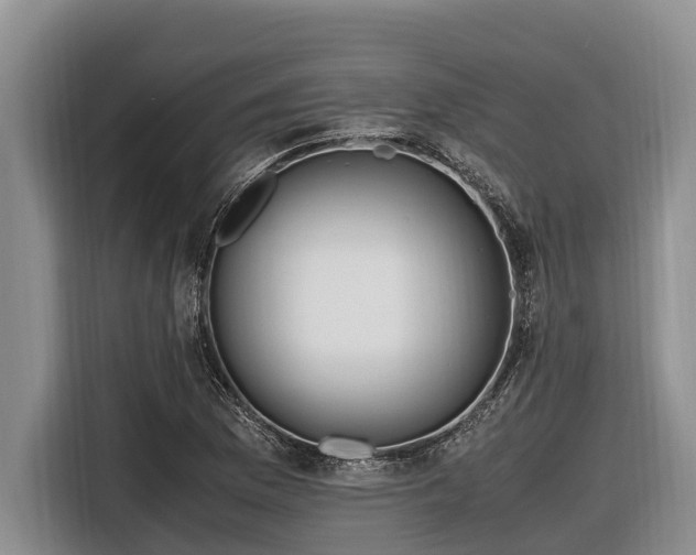 X0000116821169200912241235