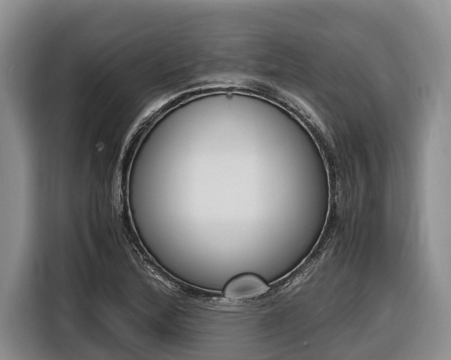 X0000116821172200912241235