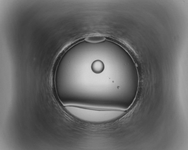 X0000116821173200912241235