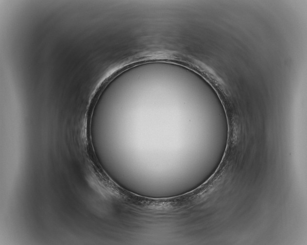 X0000116821174200912241235