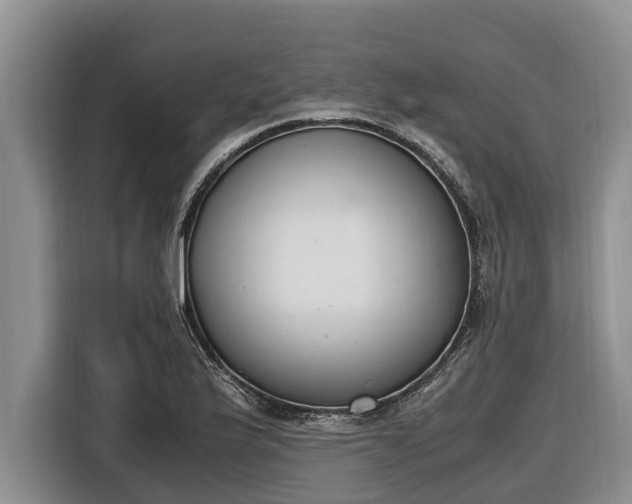 X0000116821175200912241235