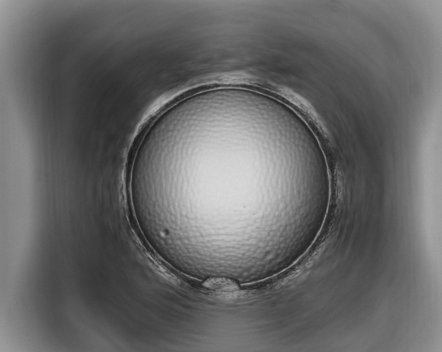 X0000116821176200912241235