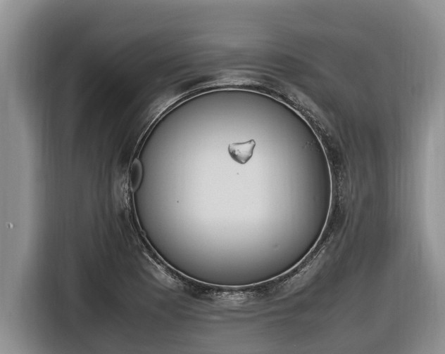 X0000116821177200912241235