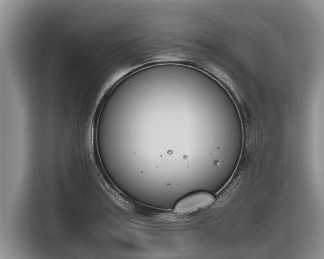 X0000116821179200912241235