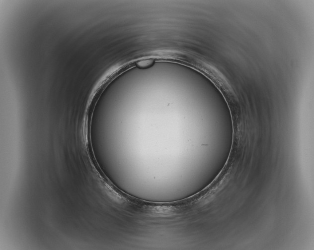 X0000116821180200912241235