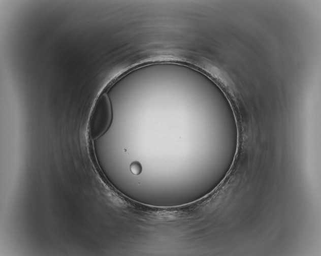 X0000116821181200912241235