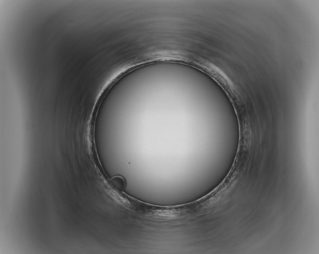 X0000116821182200912241235