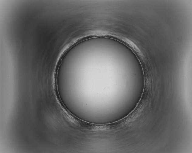 X0000116821183200912241235