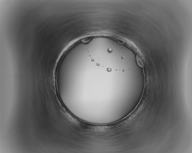 X0000116821184200912241235