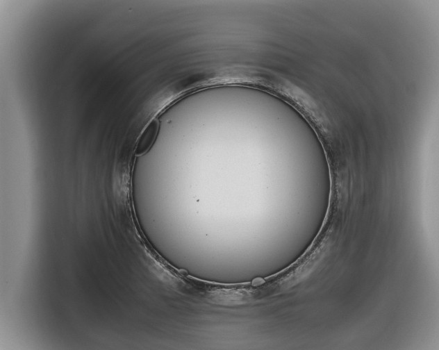 X0000116821185200912241235