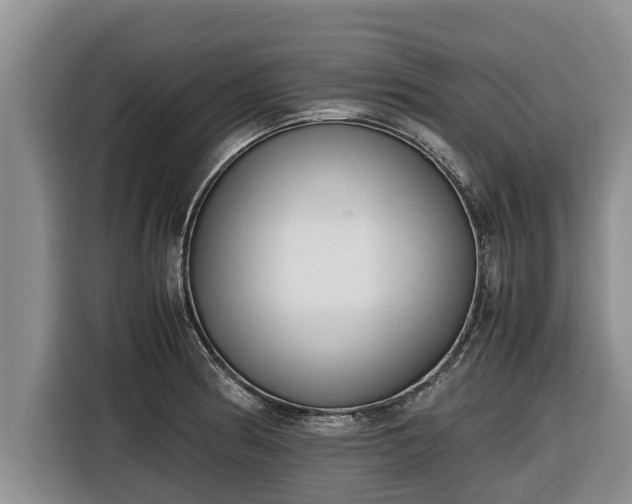 X0000116821186200912241235