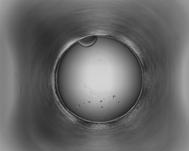 X0000116821187200912241235