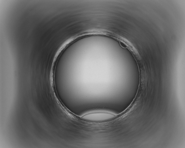 X0000116821188200912241235