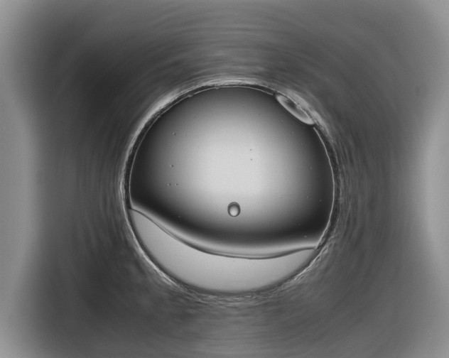 X0000116821189200912241235