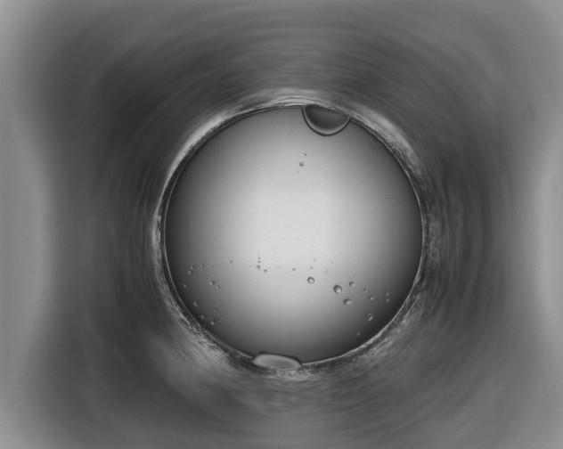 X0000116821190200912241235