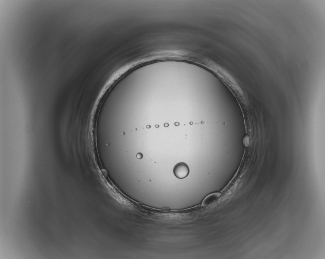 X0000116821192200912241235