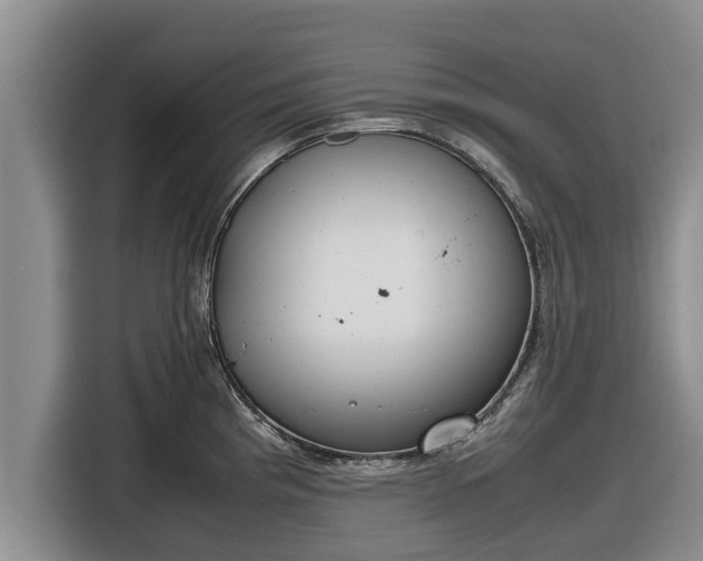 X0000116821193200912241234