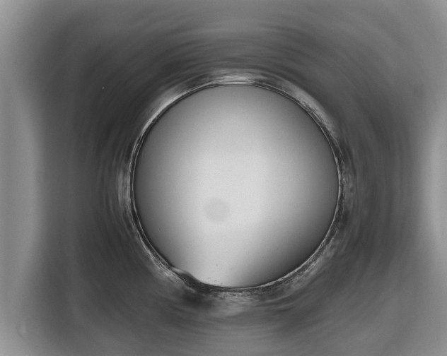 X0000116821194200912241234