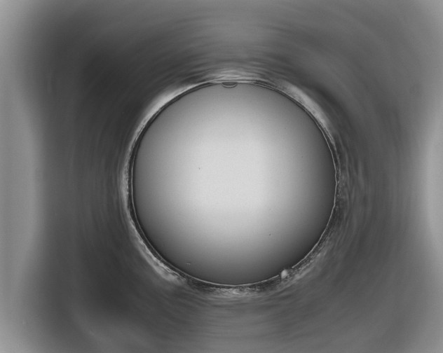 X0000116821195200912241234