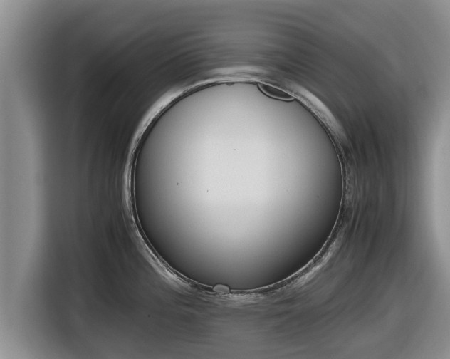 X0000116821196200912241234