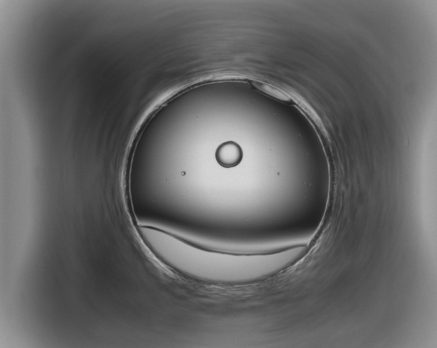 X0000116821197200912241234