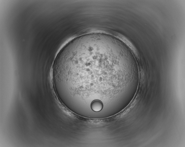 X0000116821198200912241234