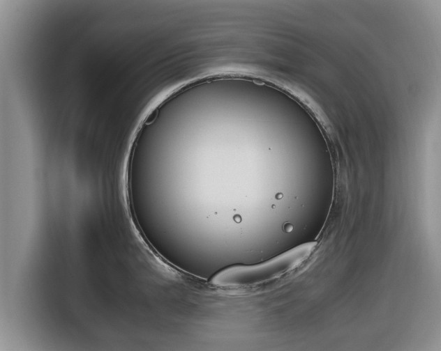 X0000116821199200912241234