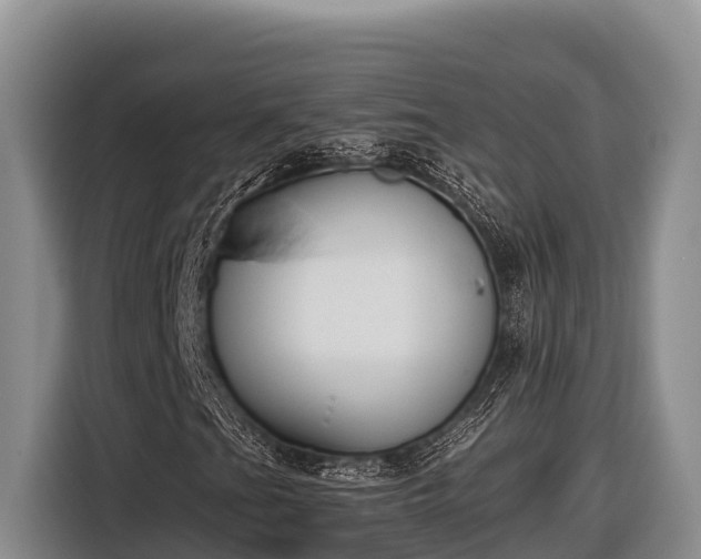 X0000116821201200912241234