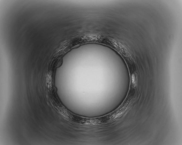 X0000116821203200912241234