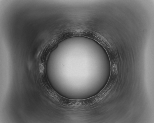 X0000116821204200912241234