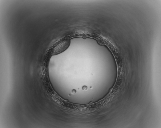 X0000116821207200912241234