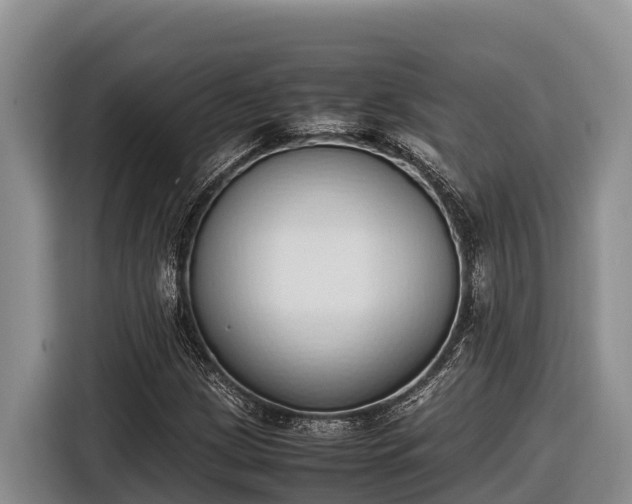 X0000116821209200912241234