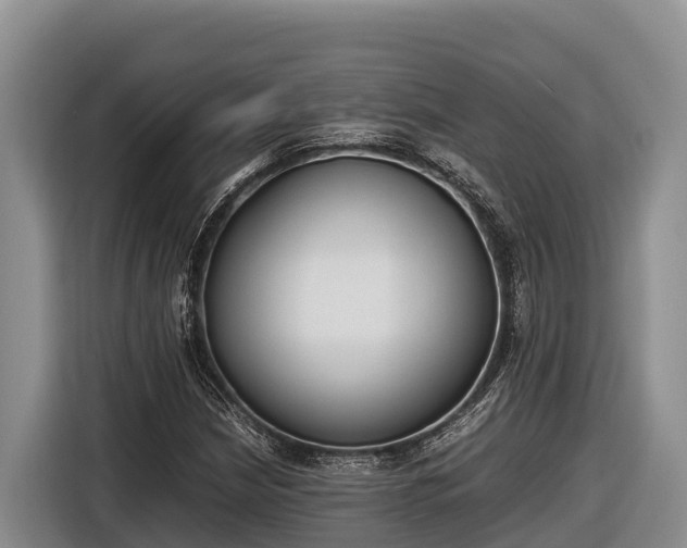 X0000116821210200912241234