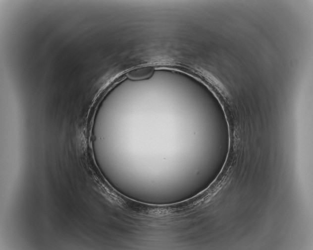 X0000116821212200912241234