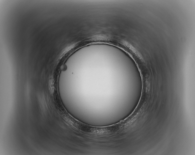 X0000116821213200912241234