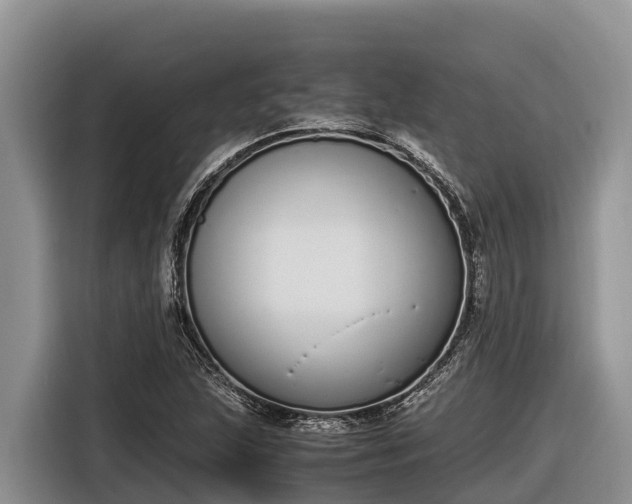 X0000116821215200912241234