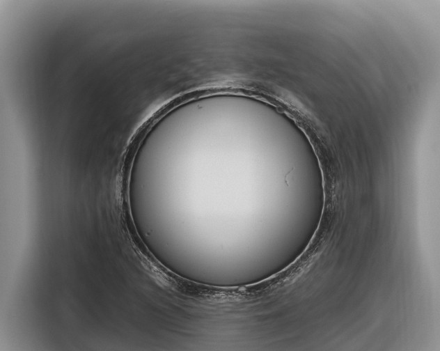 X0000116821216200912241234