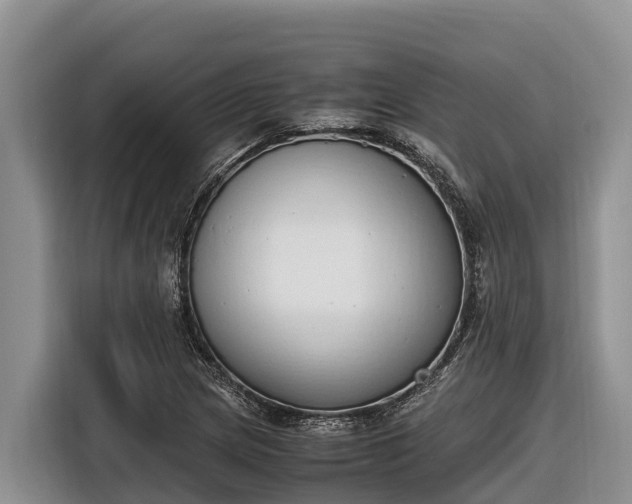 X0000116821217200912241234