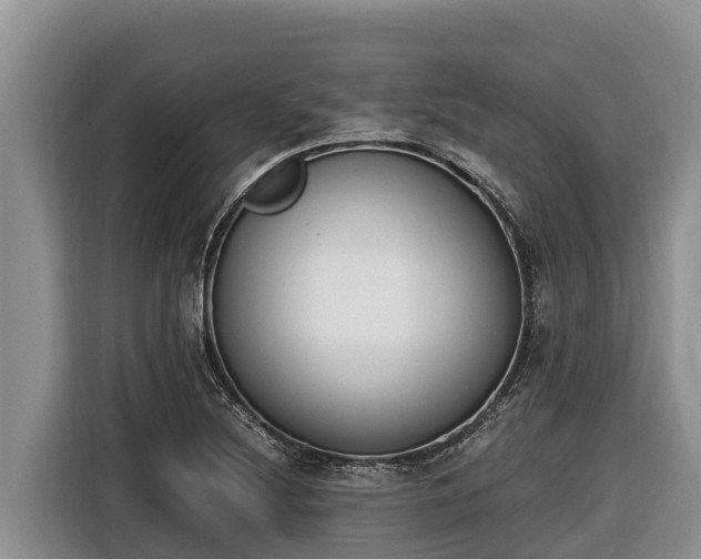 X0000116821220200912241234