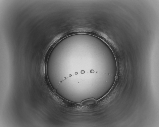 X0000116821221200912241234