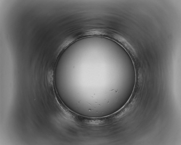 X0000116821233200912241234