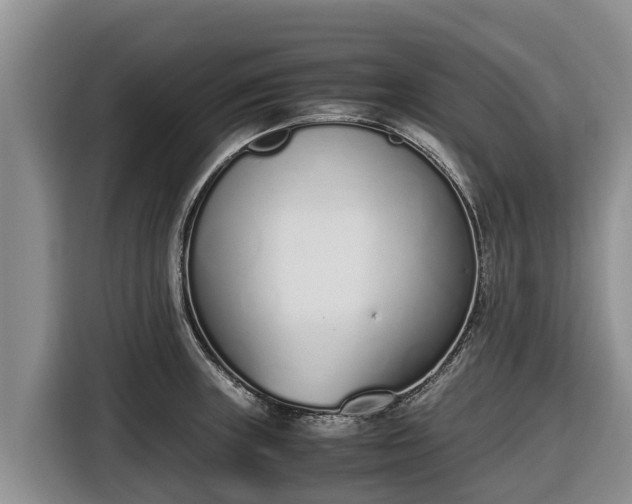 X0000116821235200912241234