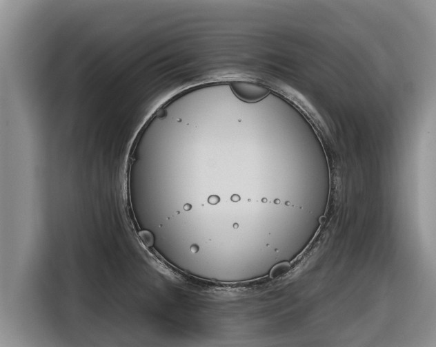 X0000116821236200912241234