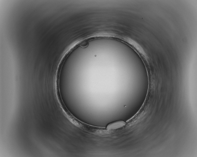 X0000116821237200912241234