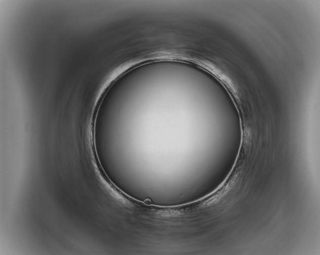 X0000116821239200912241234