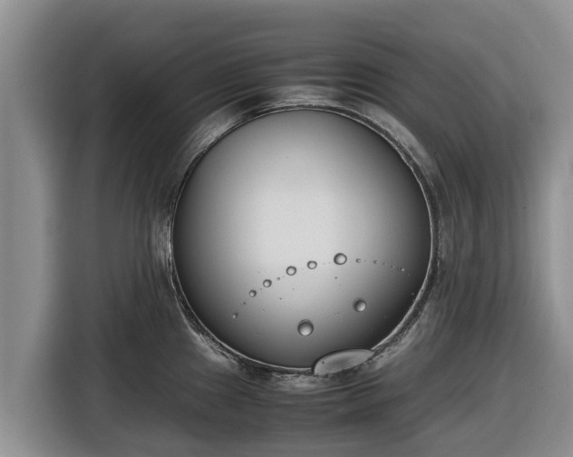 X0000116821241200912241234